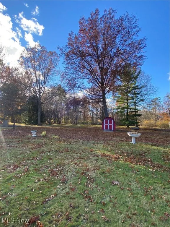 Back of house showing length of backyard and shed