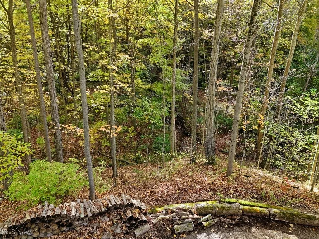 828 Center Road, Hinckley, Ohio 44233,MLS Now Listing ID