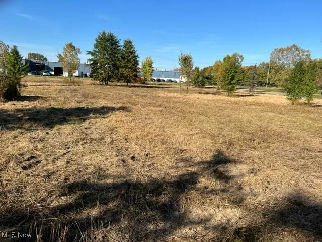 View of yard with a view of rural / pastoral area