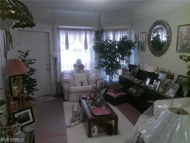 1316 E 91st Street, Cleveland, Ohio 44106,MLS Now Listing ID