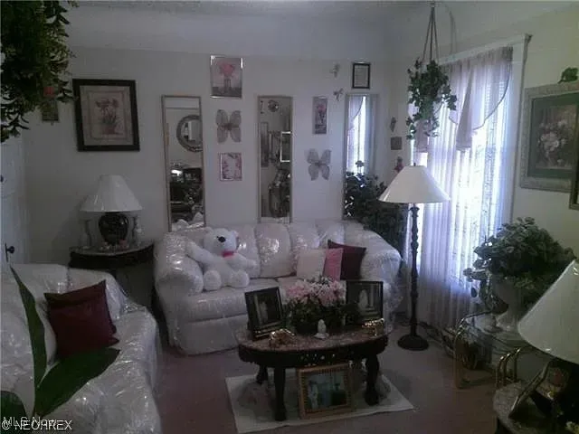 1316 E 91st Street, Cleveland, Ohio 44106,MLS Now Listing ID