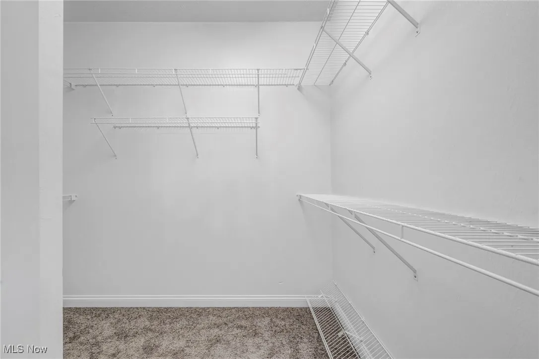 Spacious closet with carpet