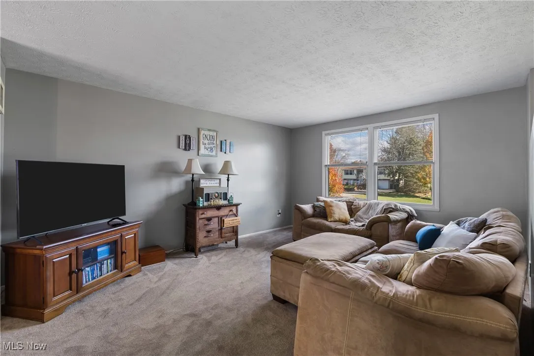 Living room with carpet flooring, textured ceiling and two windows