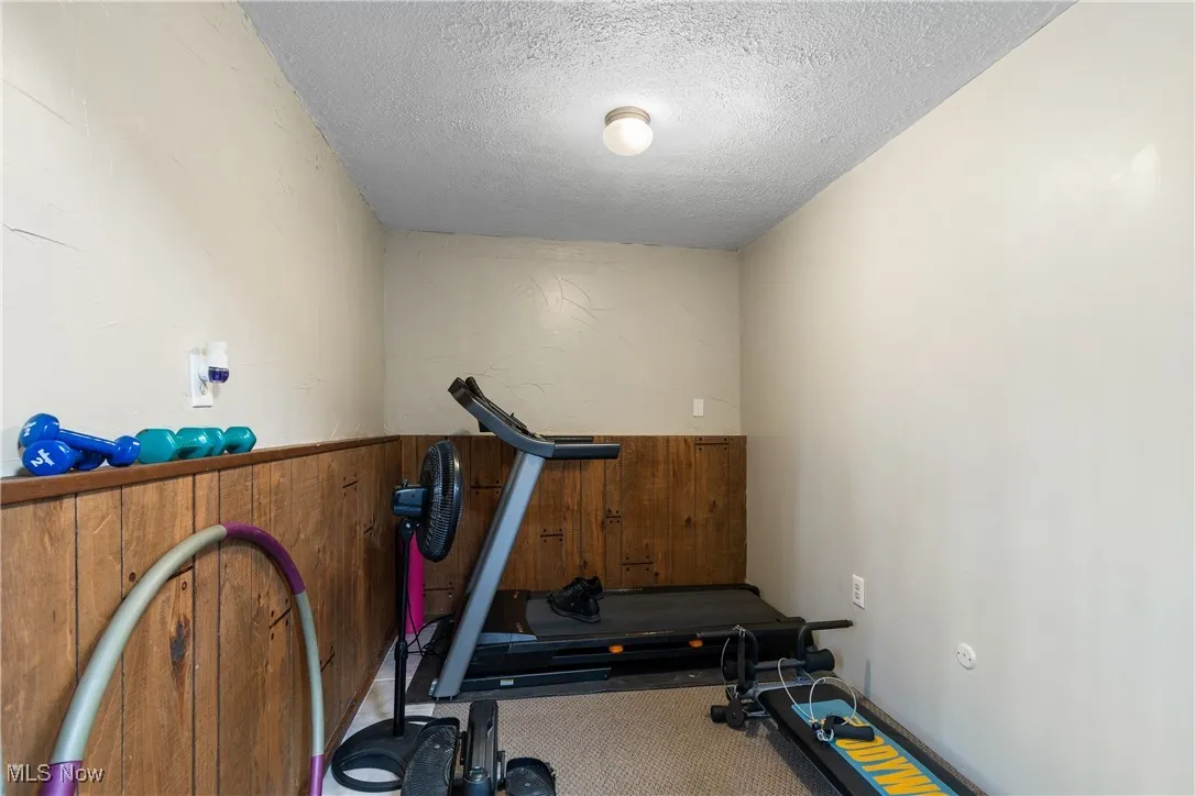 Bonus room in lower level, with a textured ceiling, wood paneling, and carpet