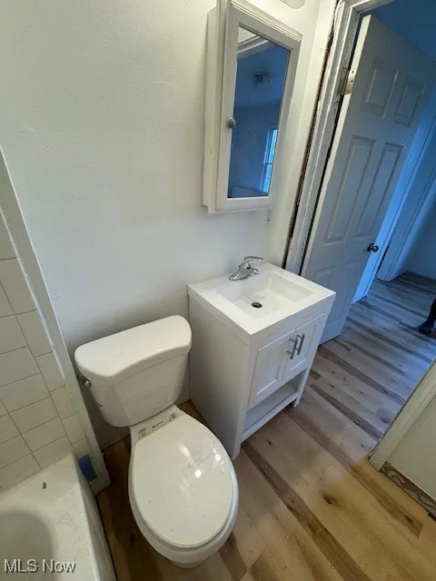 Bathroom with light wood-style floors, vanity, and a bathtub