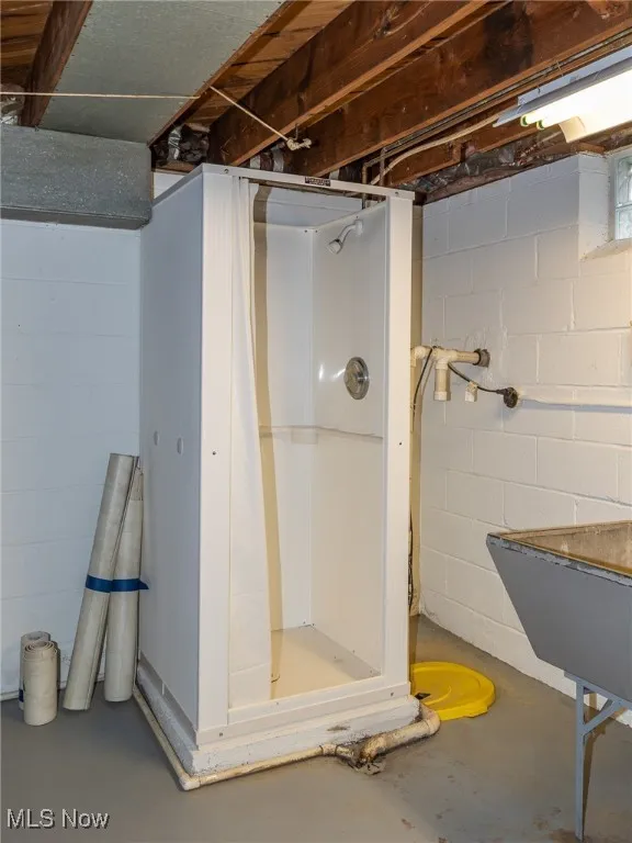 Basement shower (hasn't been used in 20 yrs, condition unknown) and the sump pump