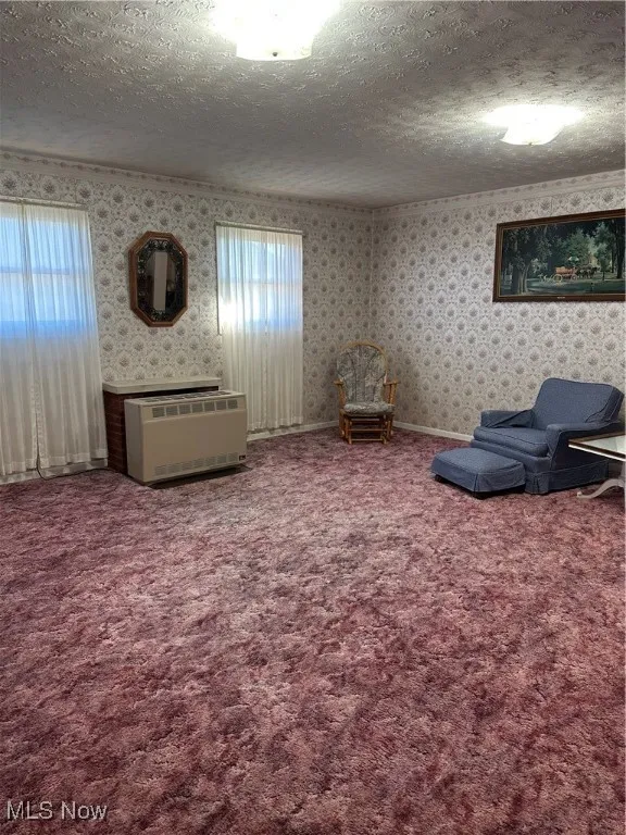 Bonus room Living area featuring a textured ceiling, wallpapered walls,  carpet, gas stove heating unit, and crown molding