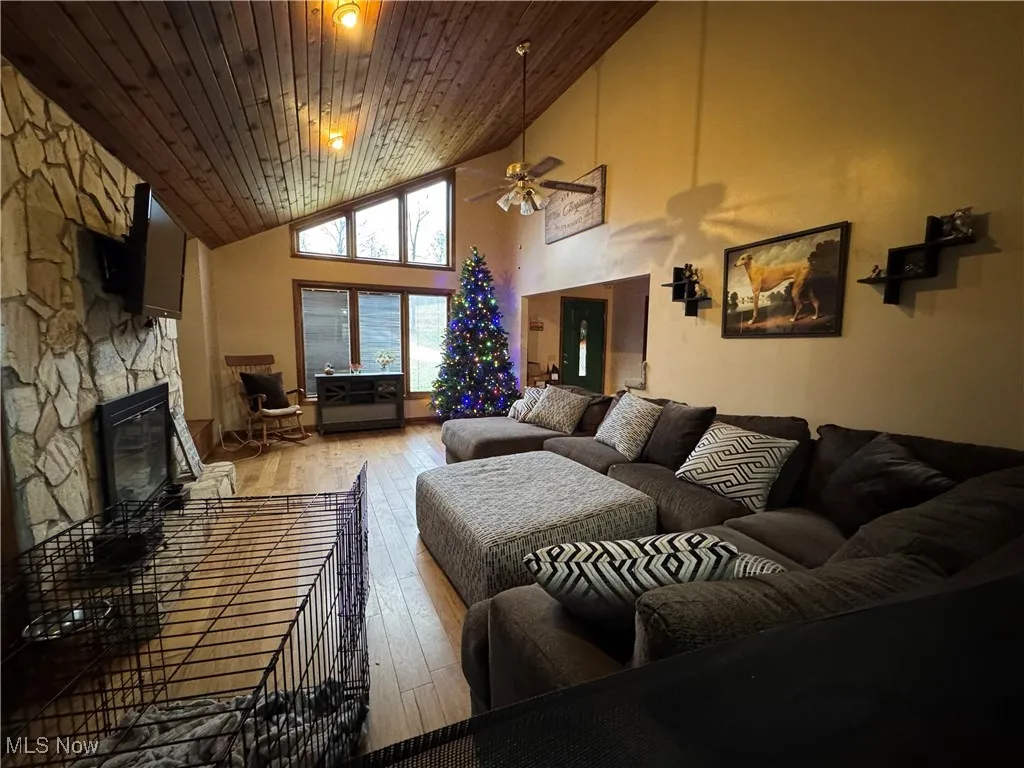 With wood burning fireplace