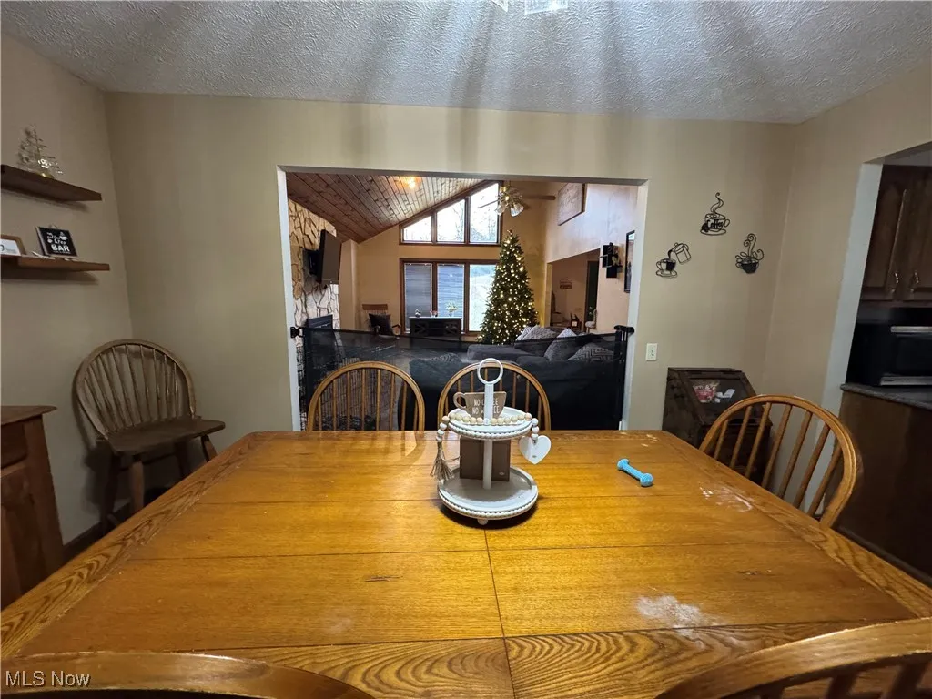 366 Flatrock Drive, Leon, West Virginia 25123,MLS Now Listing ID