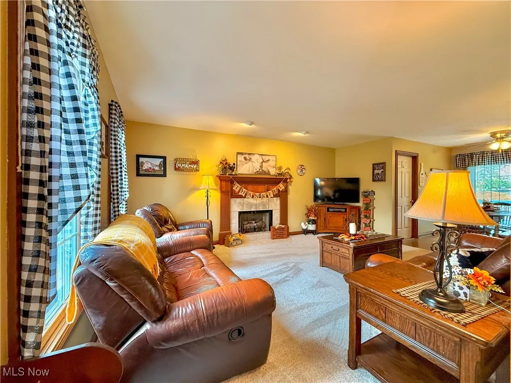 123 Clevidence Court, Seville, Ohio 44273,MLS Now Listing ID