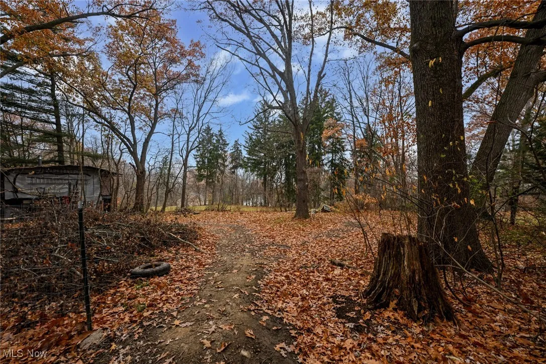1545 Woods Road, Akron, Ohio 44306,MLS Now Listing ID