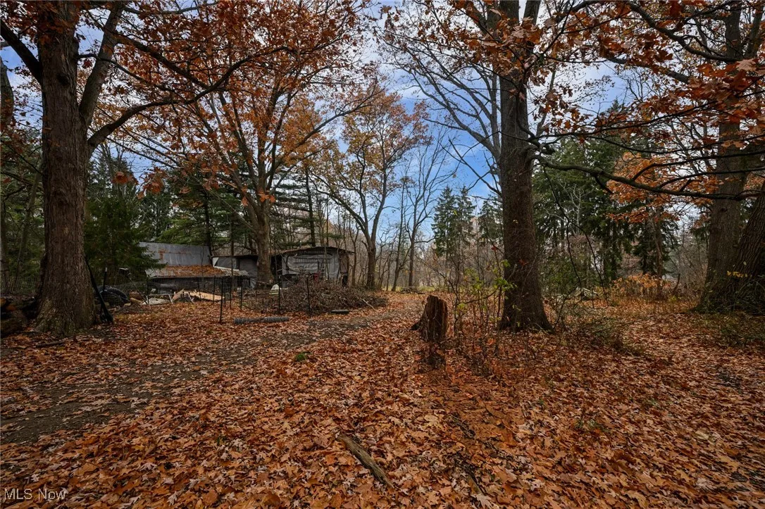 1545 Woods Road, Akron, Ohio 44306,MLS Now Listing ID