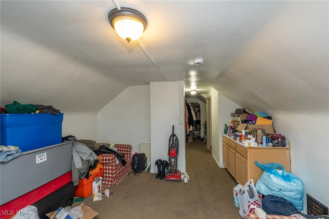 Additional living space featuring carpet flooring and vaulted ceiling