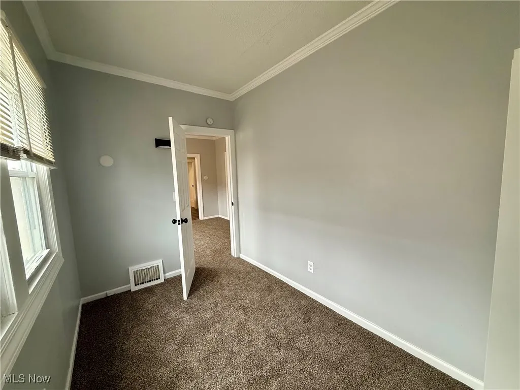 Carpeted spare room with crown molding and baseboards