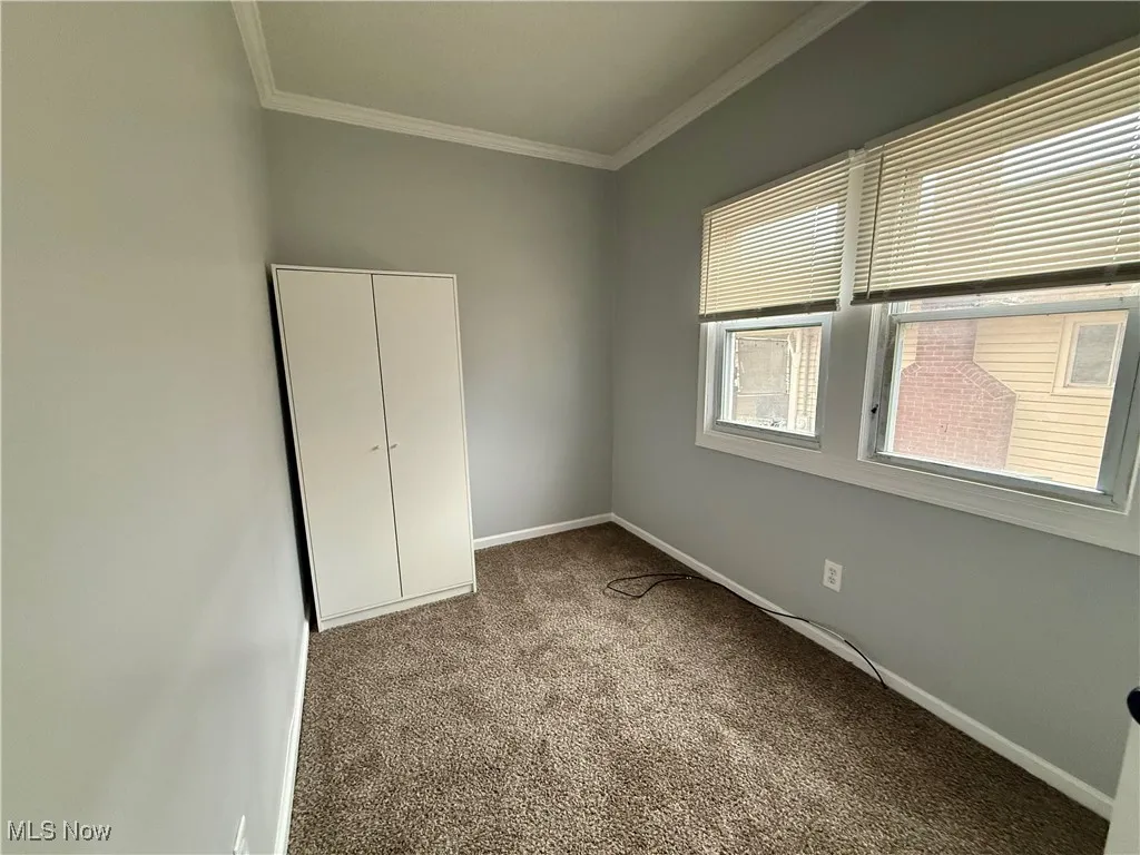 Unfurnished bedroom featuring carpet, ornamental molding, and a closet