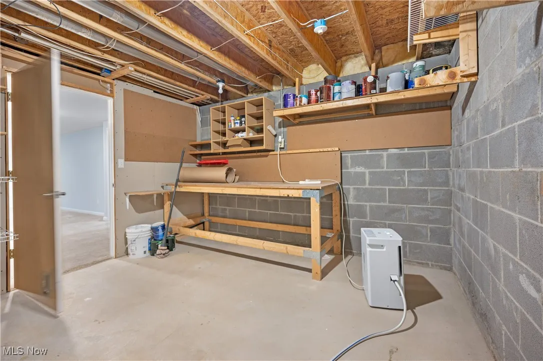 Unfinished below grade area with a workshop area