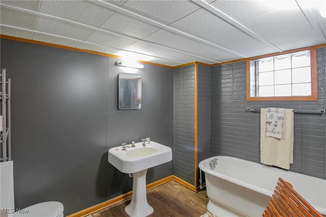 Lower level bathroom