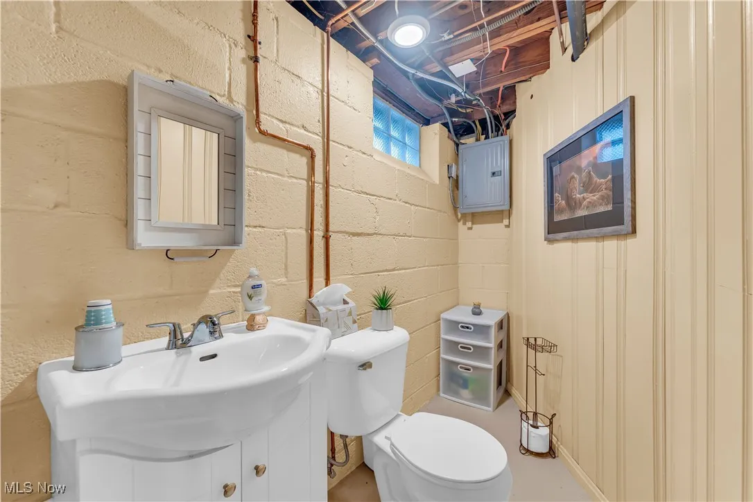 Bathroom with vanity and electric panel