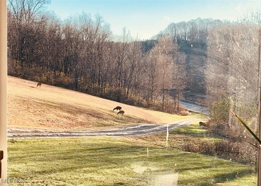 11925 Lincoln Street, Paris, Ohio 44669,MLS Now Listing ID