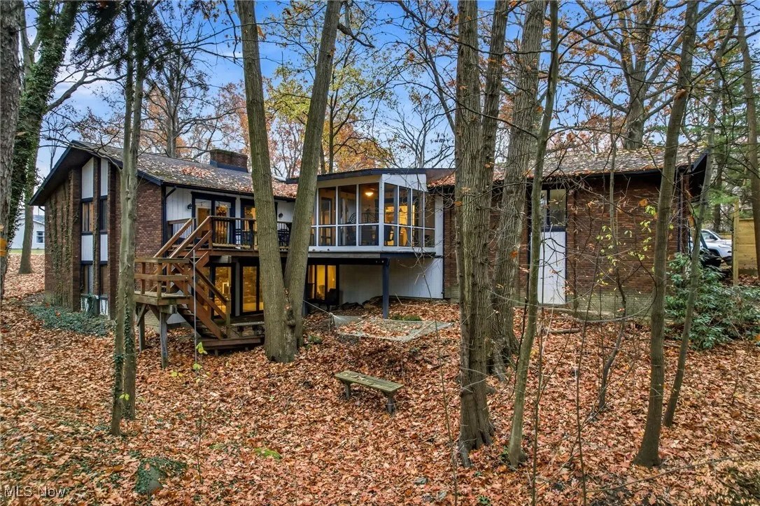 View of the backyard