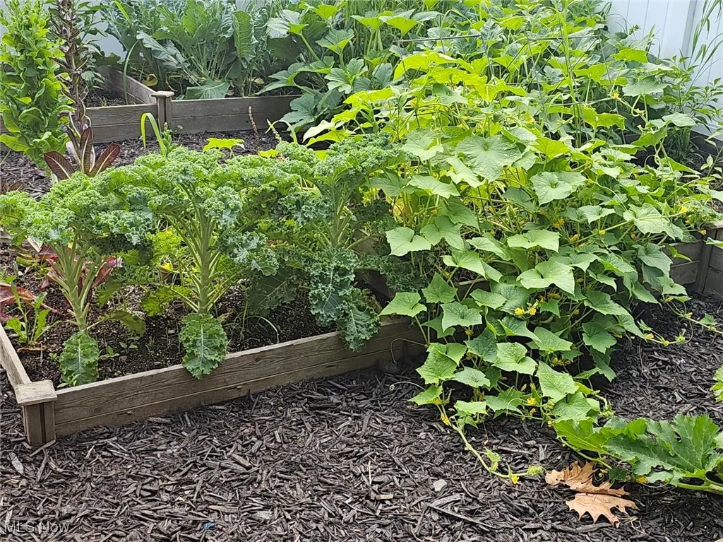 3790 Neville Drive, Kent, Ohio 44240,MLS Now Listing ID