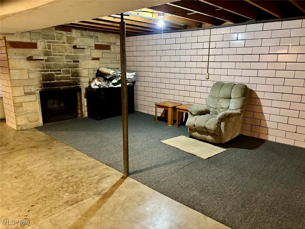 Basement area with a fireplace