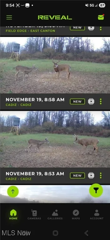 152 County Road 3, Rayland, Ohio 43943,MLS Now Listing ID