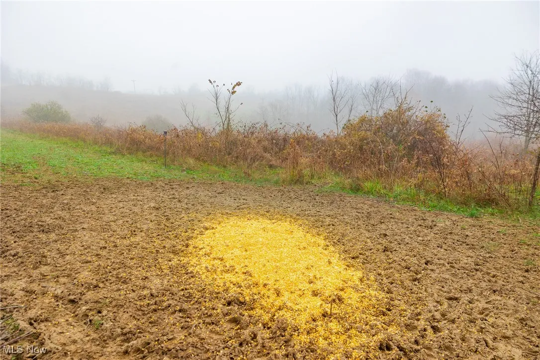 152 County Road 3, Rayland, Ohio 43943,MLS Now Listing ID