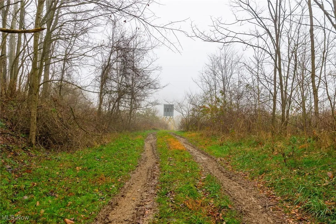 152 County Road 3, Rayland, Ohio 43943,MLS Now Listing ID