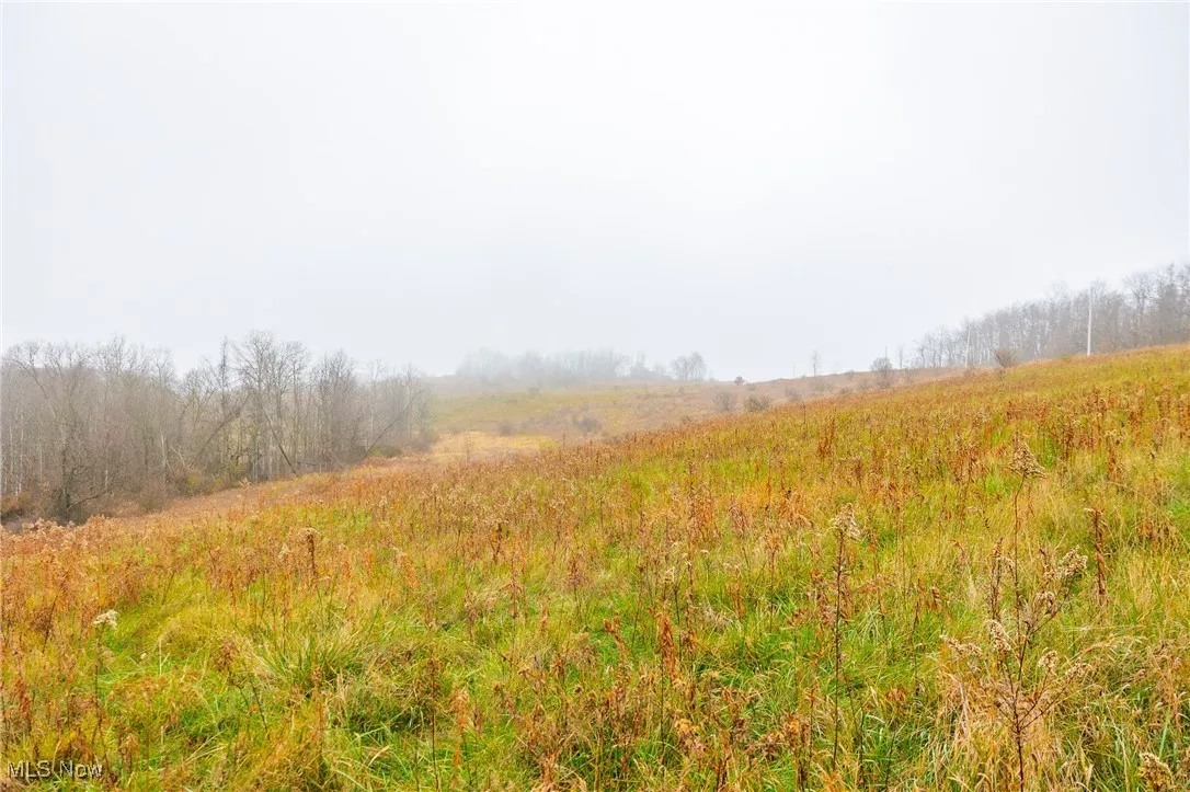 152 County Road 3, Rayland, Ohio 43943,MLS Now Listing ID