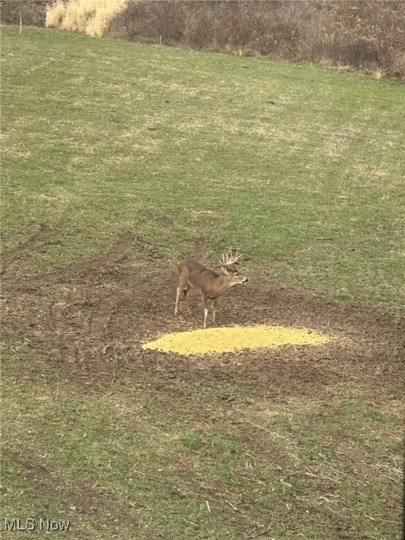 152 County Road 3, Rayland, Ohio 43943,MLS Now Listing ID