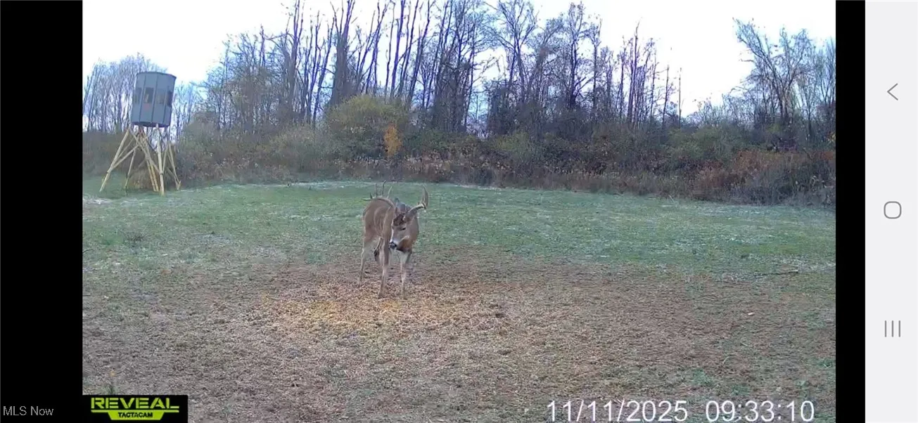 152 County Road 3, Rayland, Ohio 43943,MLS Now Listing ID