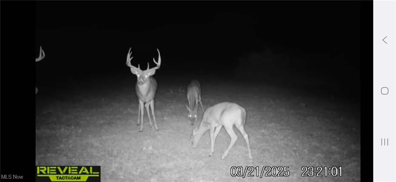 152 County Road 3, Rayland, Ohio 43943,MLS Now Listing ID