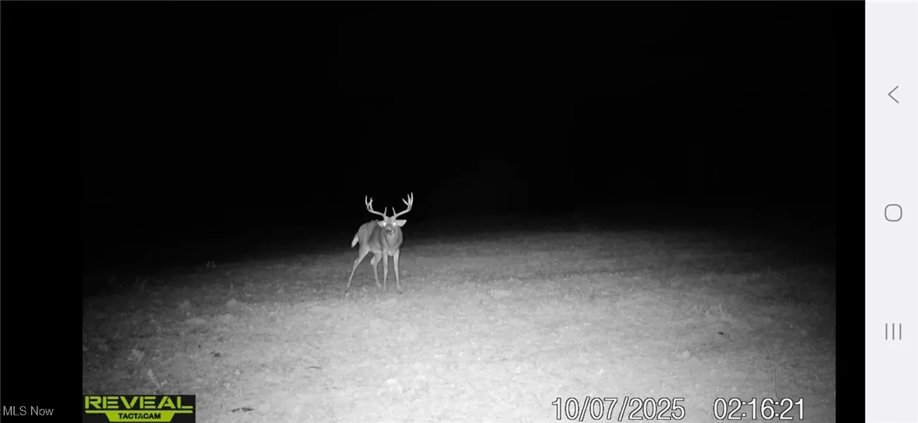 152 County Road 3, Rayland, Ohio 43943,MLS Now Listing ID