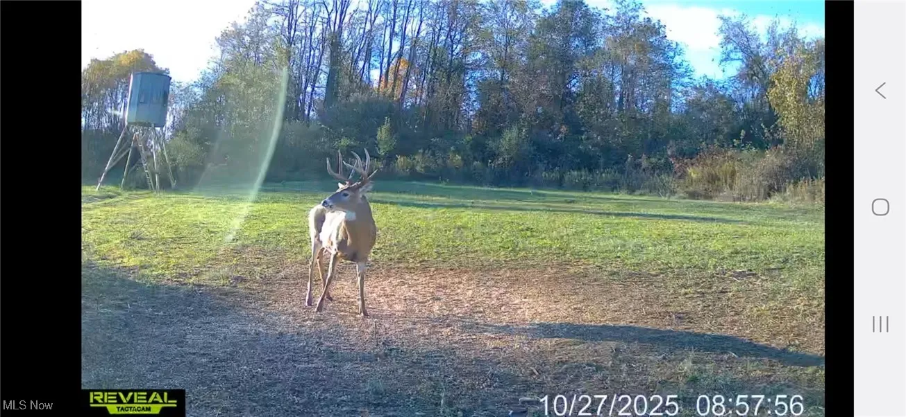 152 County Road 3, Rayland, Ohio 43943,MLS Now Listing ID