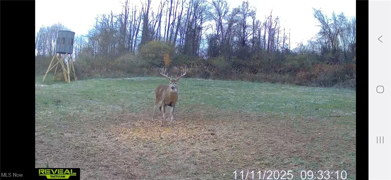 152 County Road 3, Rayland, Ohio 43943,MLS Now Listing ID