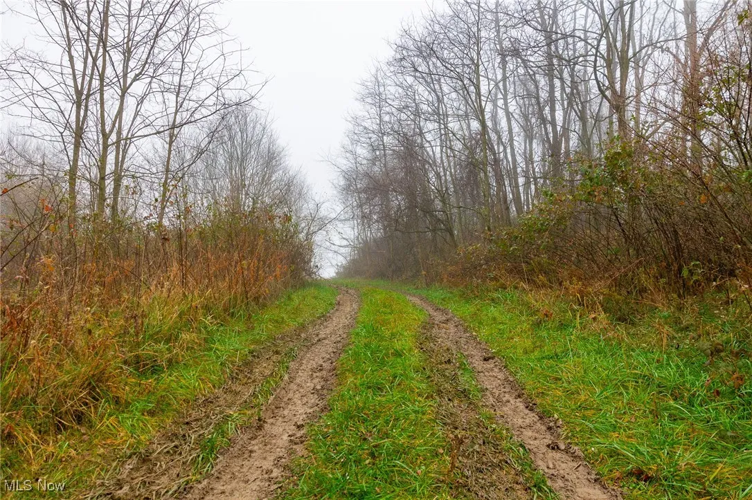 152 County Road 3, Rayland, Ohio 43943,MLS Now Listing ID