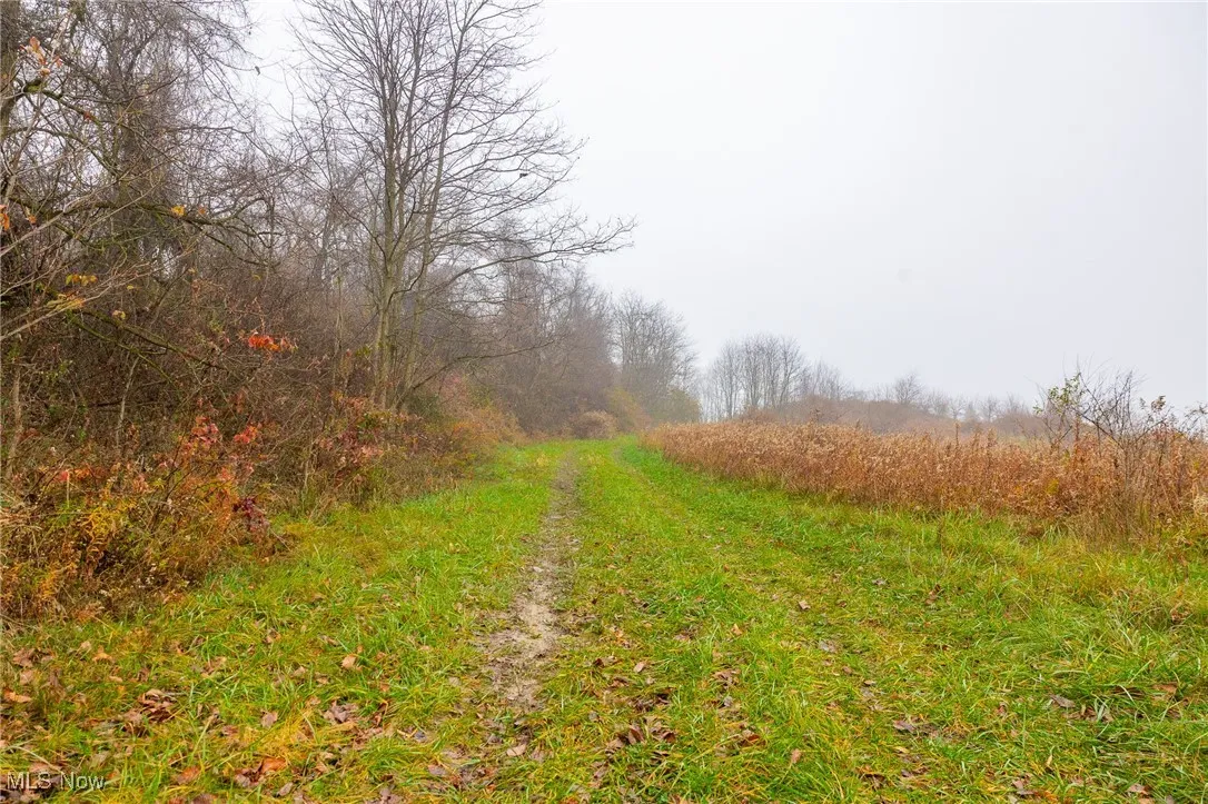 152 County Road 3, Rayland, Ohio 43943,MLS Now Listing ID