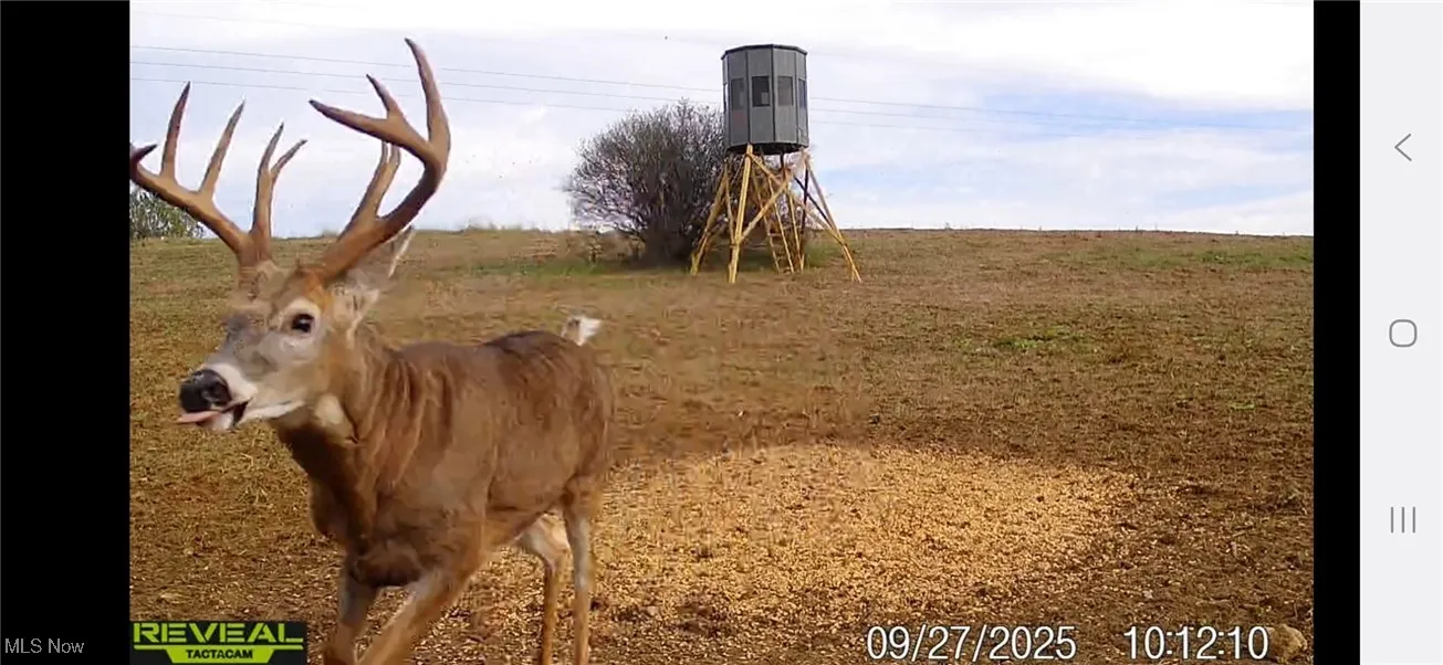 152 County Road 3, Rayland, Ohio 43943,MLS Now Listing ID