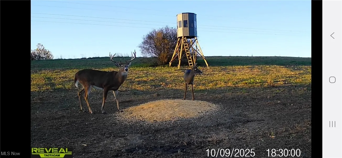 152 County Road 3, Rayland, Ohio 43943,MLS Now Listing ID