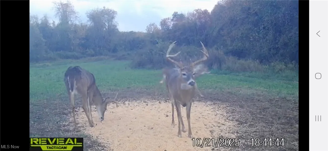 152 County Road 3, Rayland, Ohio 43943,MLS Now Listing ID