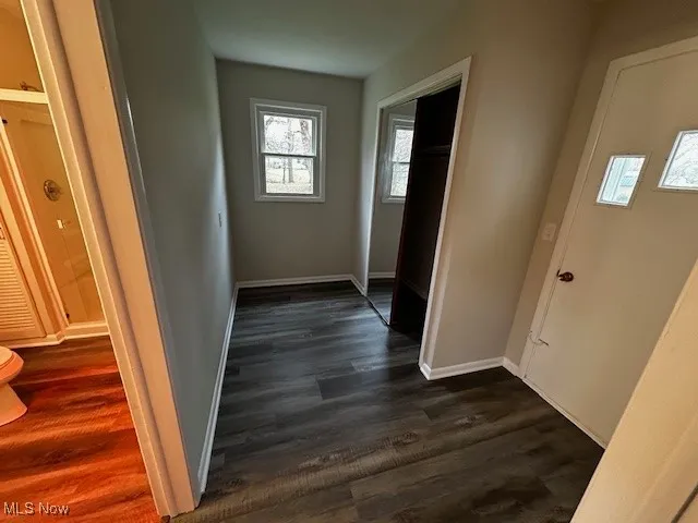 Foyer entrance featuring dark wood-style floors