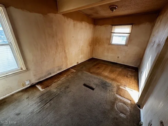 Empty room with dark colored carpet