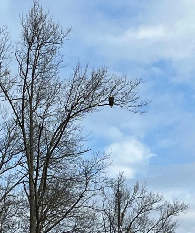 Resident of Sandy Ridge Reservation