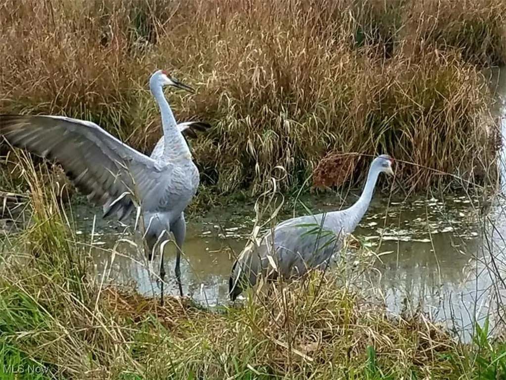 Residents of Sandy Ridge Reservation