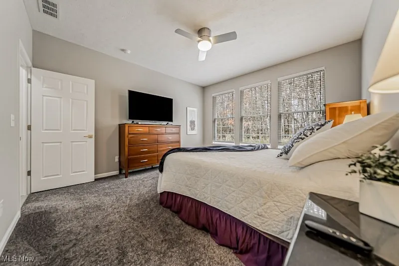 With views of the Metroparks