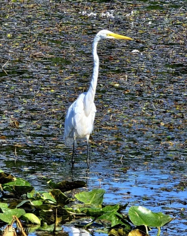 Resident of Sandy Ridge Reservation