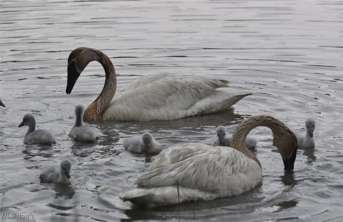 Residents of Sandy Ridge Reservation