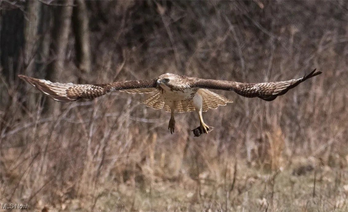 Resident of Sandy Ridge Reservation