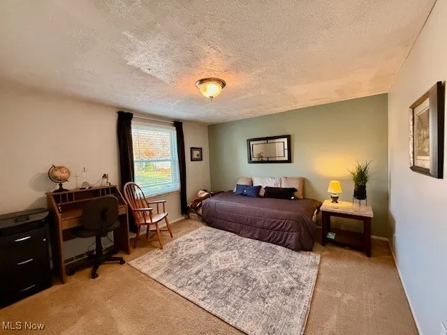 Spacious upstairs 3rd bedroom with light colored carpet, a textured ceiling and large closet.